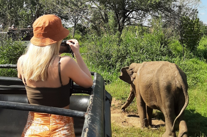 Wildlife Adventure
