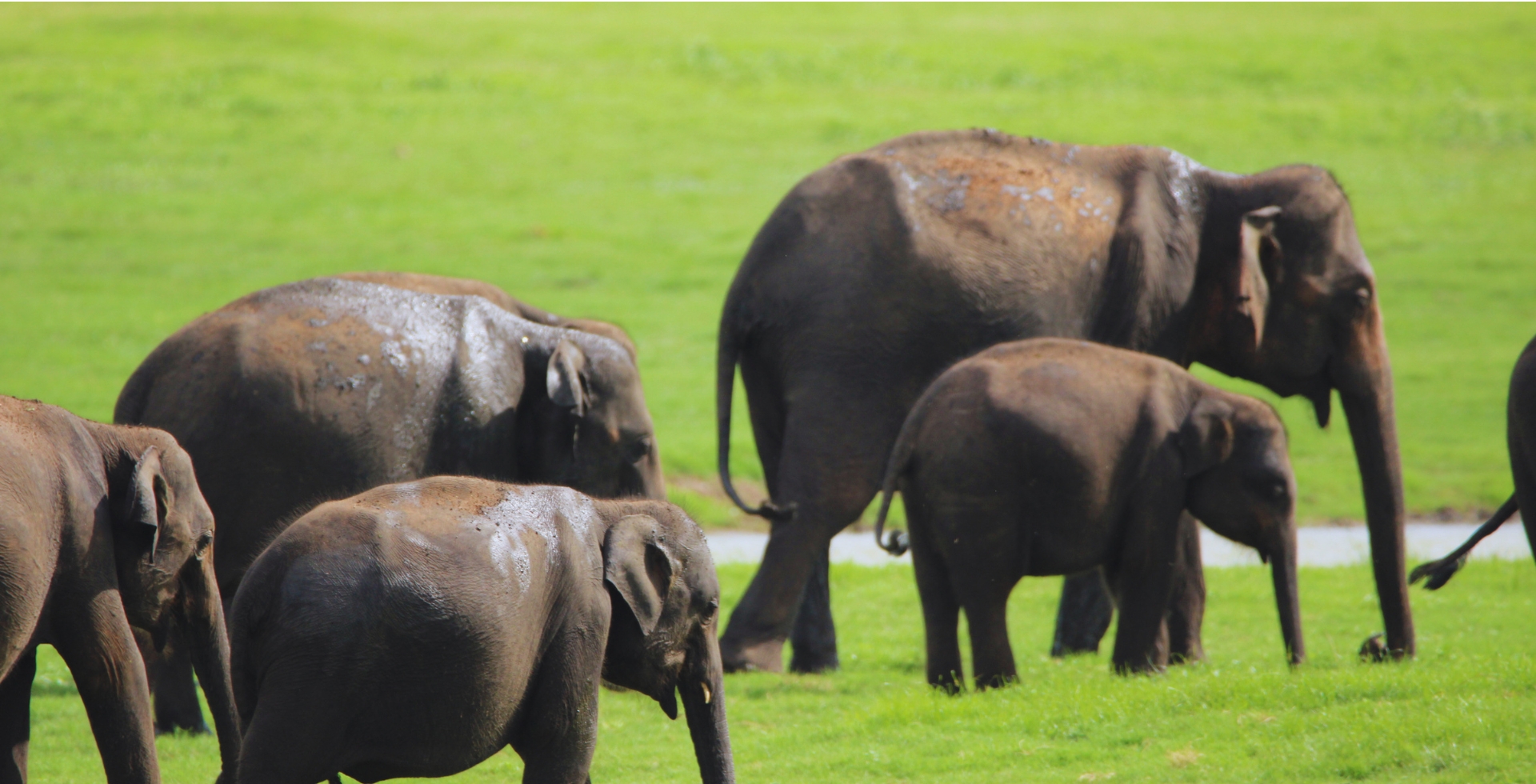 Gal Oya National Park