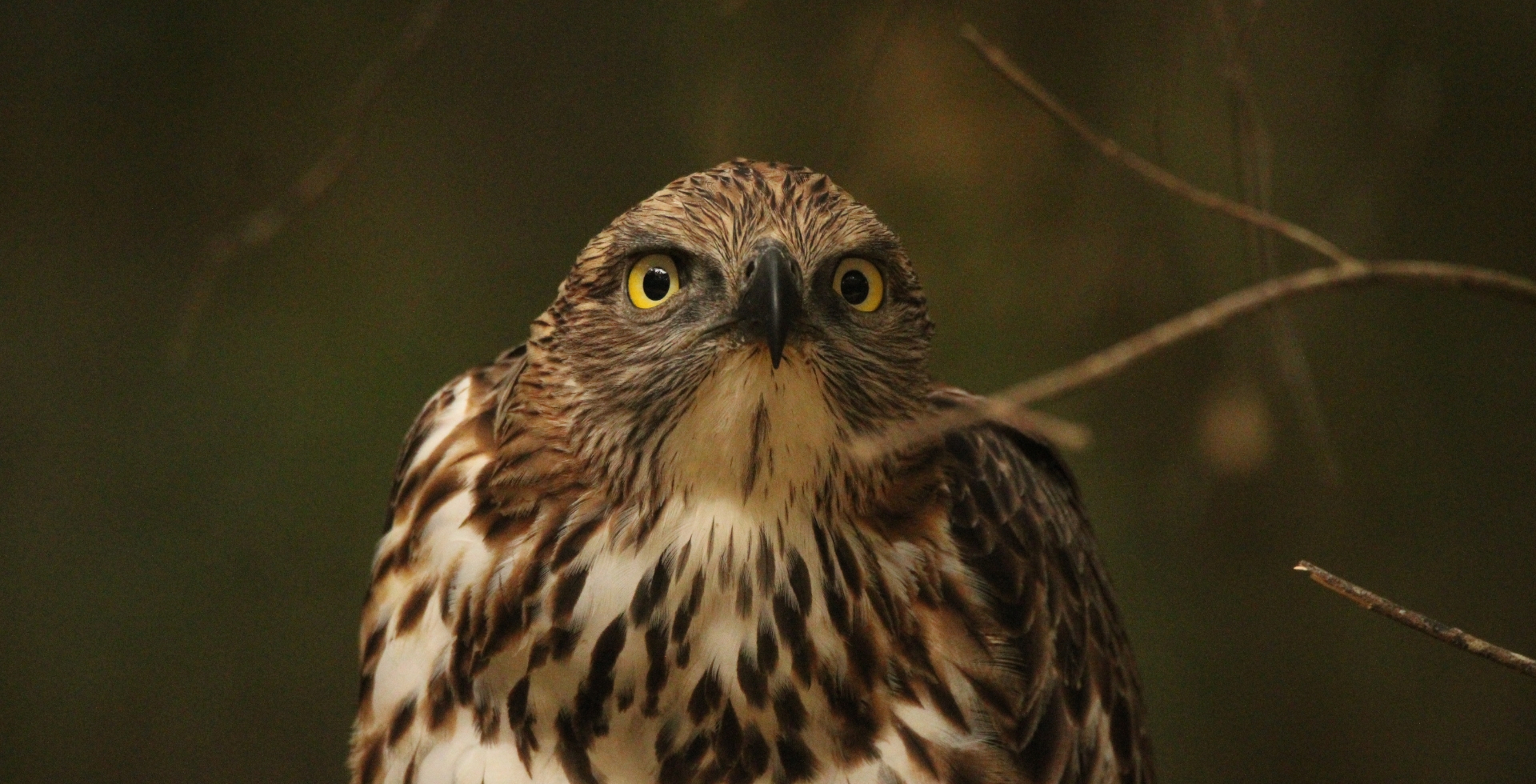Kumana National Park